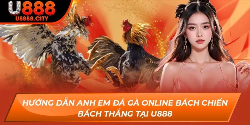 Hướng Dẫn Anh Em Đá Gà Online Bách Chiến Bách Thắng Tại U888