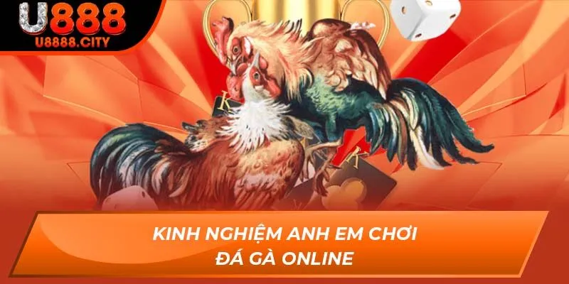 Kinh nghiệm anh em chơi Đá Gà Online