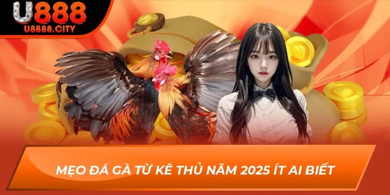 Mẹo đá gà từ kê thủ năm 2025 ít ai biết